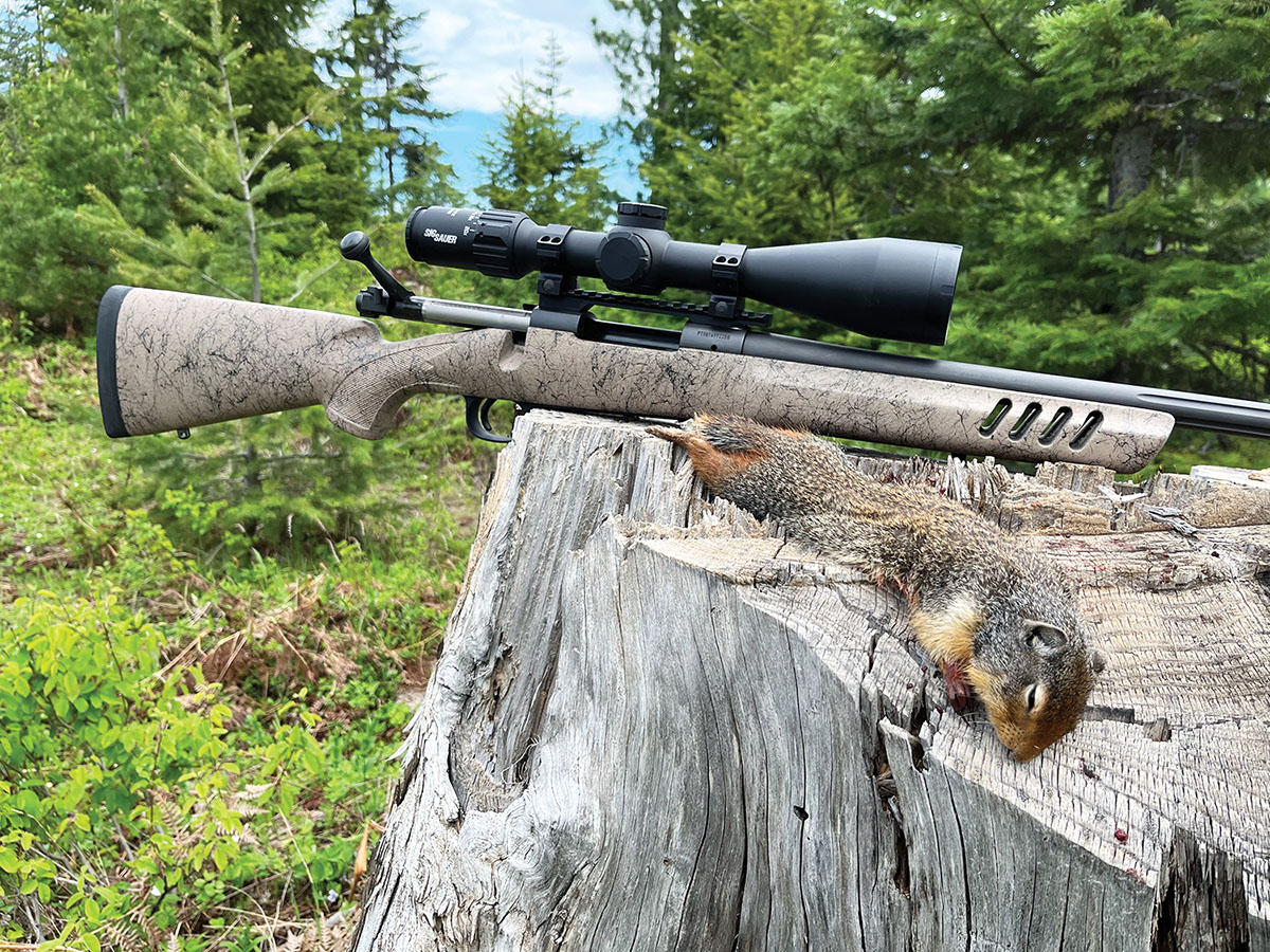 Remington’s 22-250 has been a varmint-shooting favorite since 1967, when it was standardized as a factory round. The cartridge had been around long before that as a wildcat round.